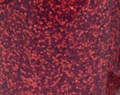 Roxy - 5mL Nail Polish