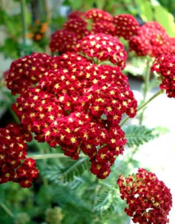 301 Moved Permanently