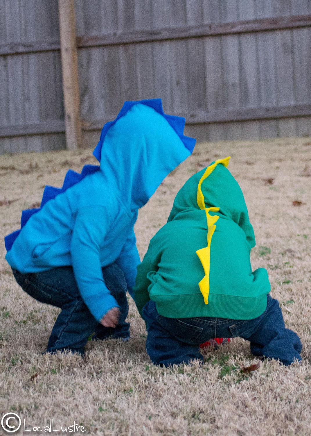Ready to Ship Dino/Dragon Hoodies