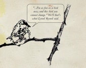 Bird Art On Branch Perched Bird Funny Comic Strip Art
