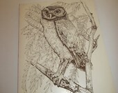 Vintage Scratch Art Owl from 1975 8 7/8 x 12 inch Foam Board - Shipping Included