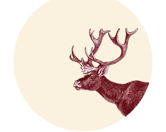 Caribou Print / Digital Print / Wall Poster Home Decor /  Reindeer Rangifer tarandus / 8 x 10