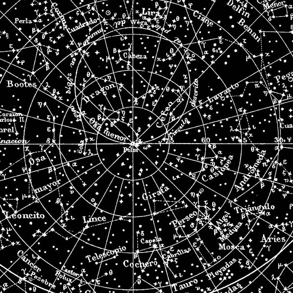 Celestial Map - Constellations of the Northern and Southern Hemisphere  Print Vintage Image