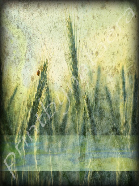 abstract landscape Photo PRINT 8x10 home decor art decor decoration room decor drawing photography photo wall decor wall print painting