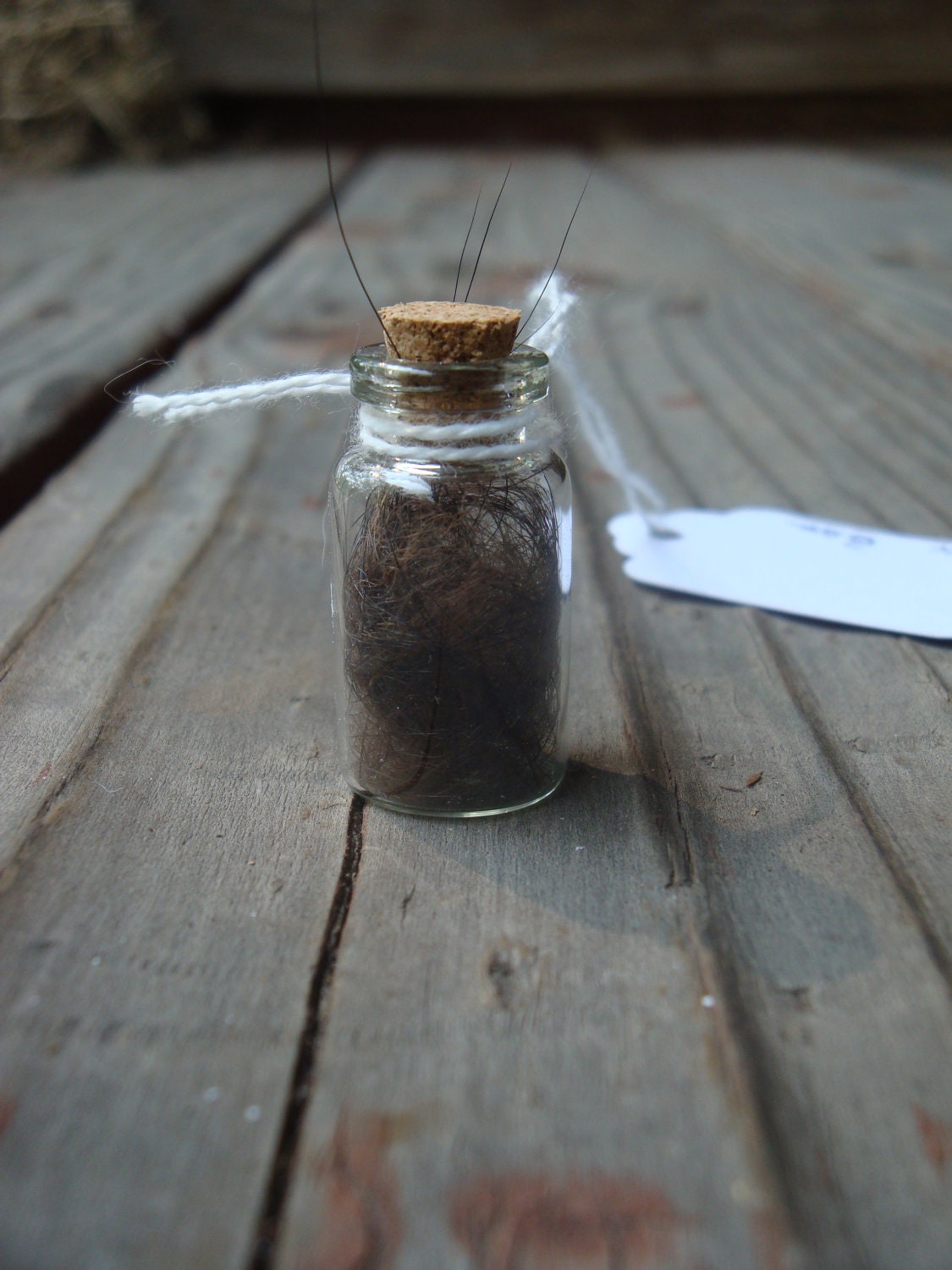 Black Bear Curiousity Vial / Totem Charm, Good for Necklace, Keychain, etc.