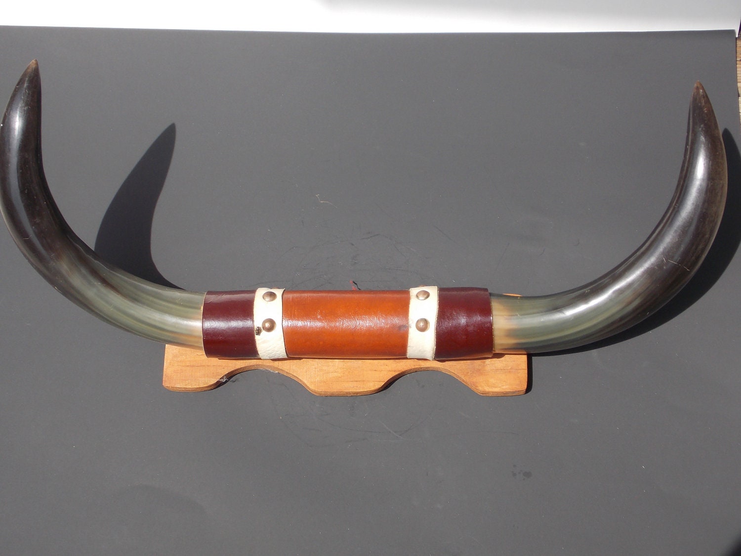 Vintage Mounted Bull Horns by vintageindy on Etsy