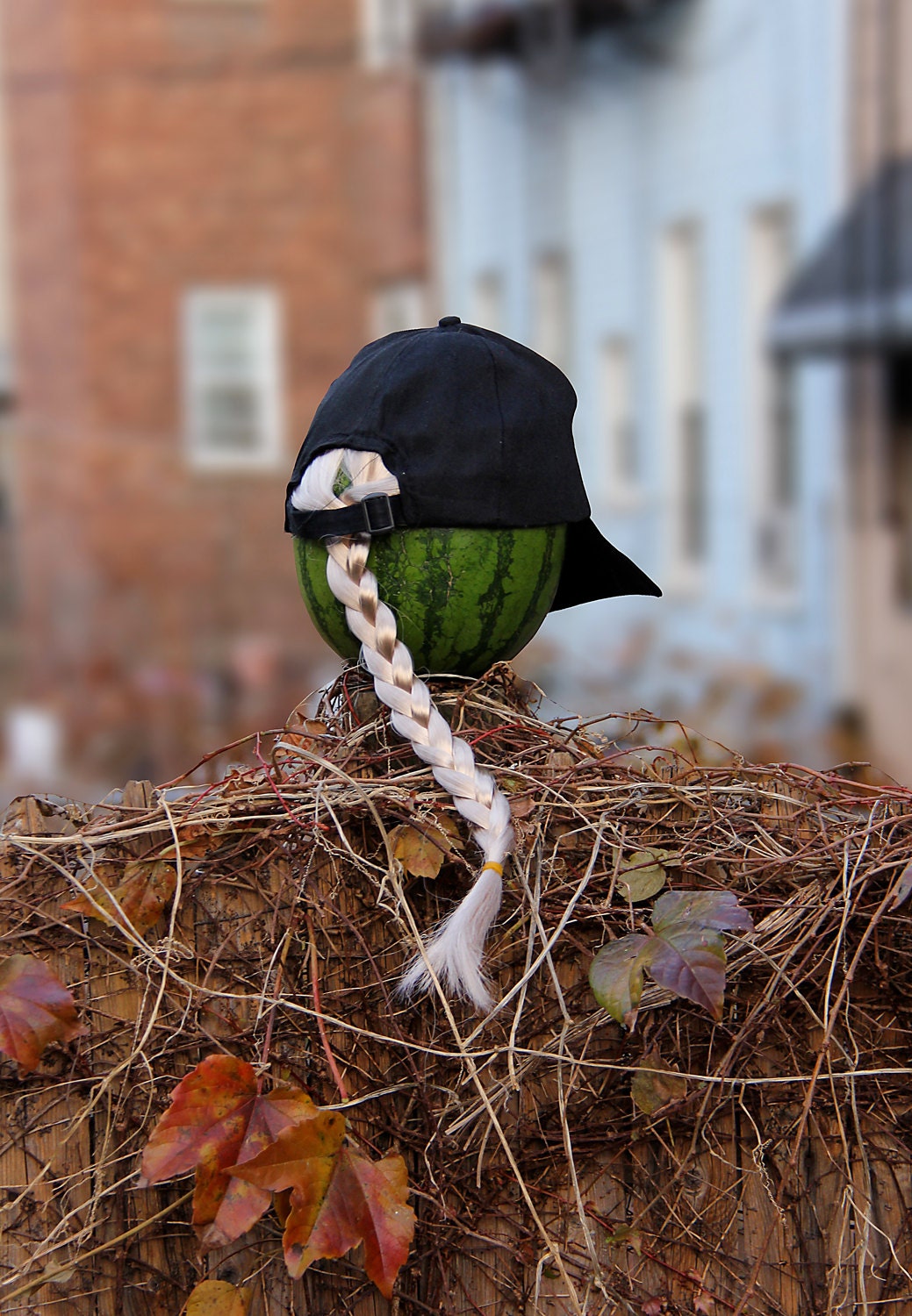 otherworldly WATERMELON that artificially but similarly realistically grows a PONYTAIL through a small black hat (UNIQUE 1/1)