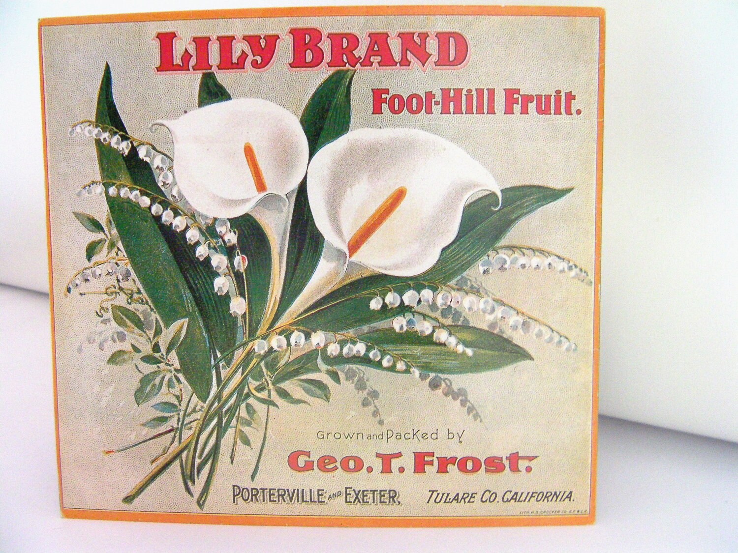 lily brand