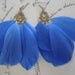 Blue Goose Feather