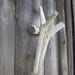 Rustic grey branches wall organizer hanging wooden hook black grey jewelry theteam housewares kitchenwares rusteam key rack holder farmhouse