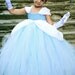 Cinderella - Costume Tutu Dress