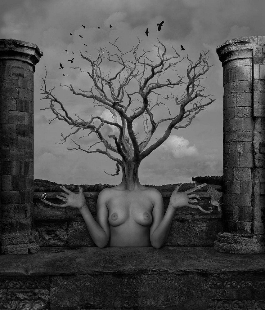DOMINIC ROUSE 'Tree of Life'  Surreal NUDE w/ Birds Black & White Fine Art Photography Limited Edition Print 15" x 12"