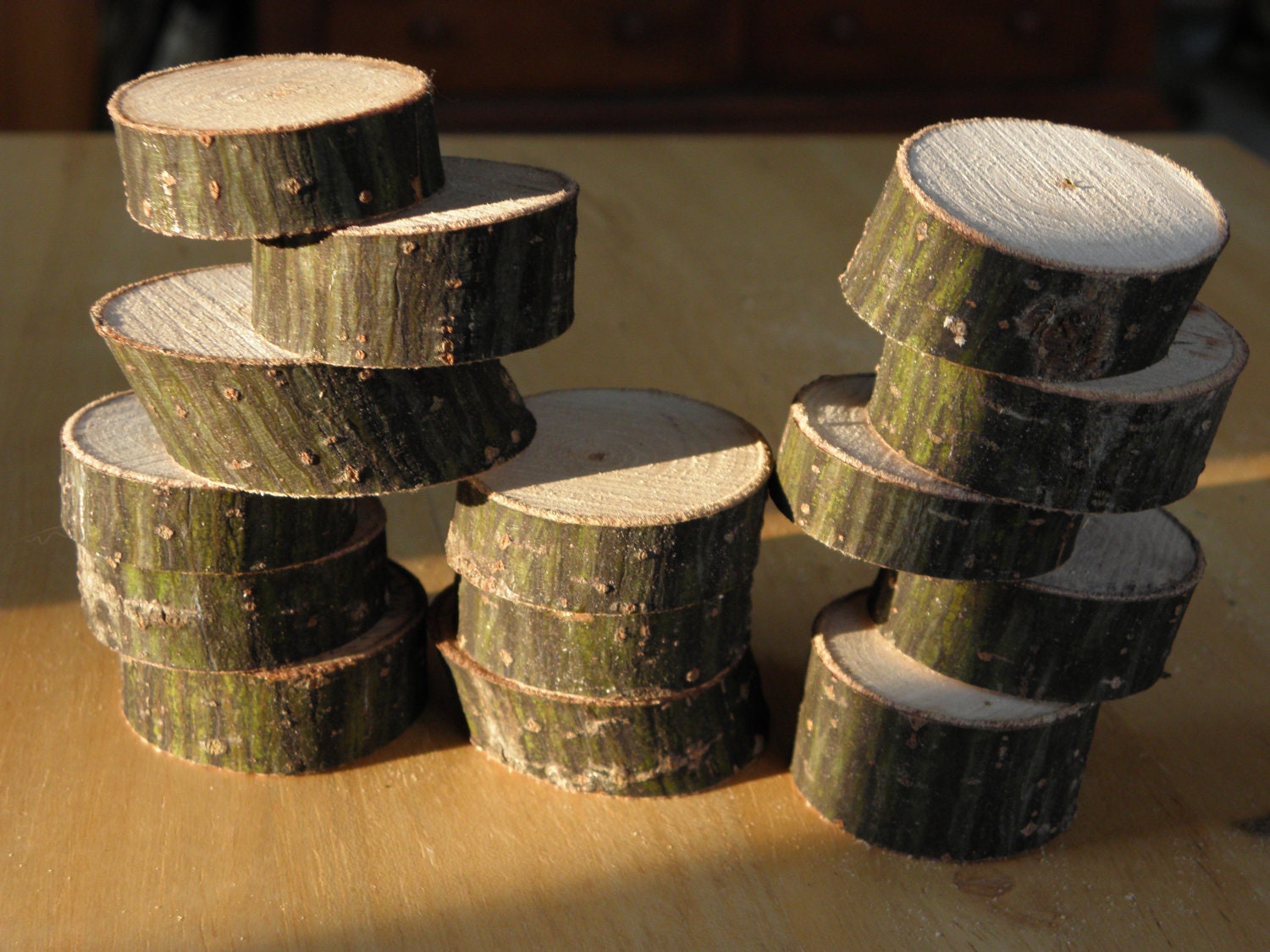 MAPLE WOOD SLICES 1 1/2" Diameter by .5" - .75" Thick, Rustic Woodland Nature Forest Craft Supply - TheRusticWoodshed