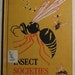 Insect Societies by Bertha Morris Parker and Alfred E. Emerson - Vintage 1960s Children's Book