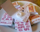 Totally Mint Mintbooks - Mint Matchbook Favors - set of 200