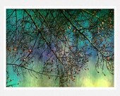 Nature Photography, teal, lavender, apple green, apple tree, storm clouds, Thunderstorm Watch, fine art photography print 8x12