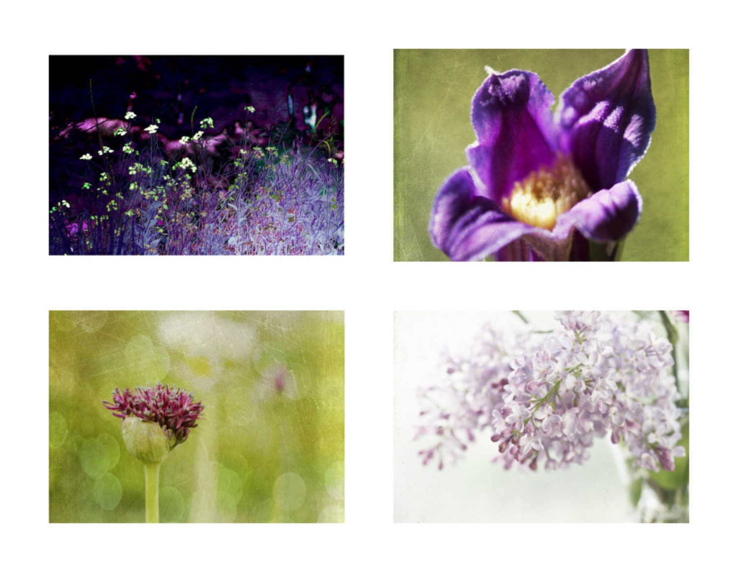 Buy any (4) prints 8x8, 8x10 or 8x12 a 120.00 value