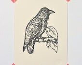 Raven (drawing in thread)- Letterpressed print