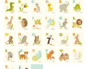 ALPHABET 26 CARD SET - Alligator to Zebra