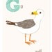 G is for Gull - 5x7 art print