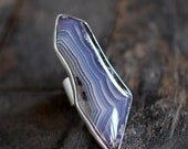 Tendril Ring