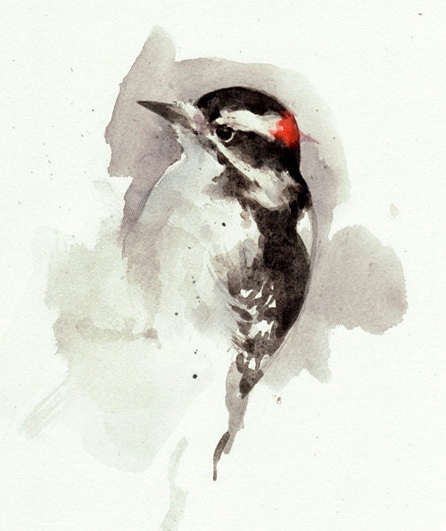 Woodpecker watercolor painting print