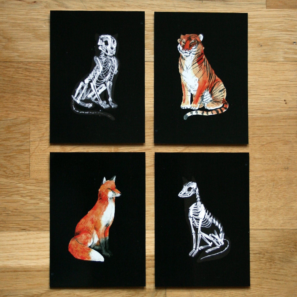 Bones postcard set