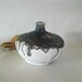 Horsehair  burned onto Porcelain Vase