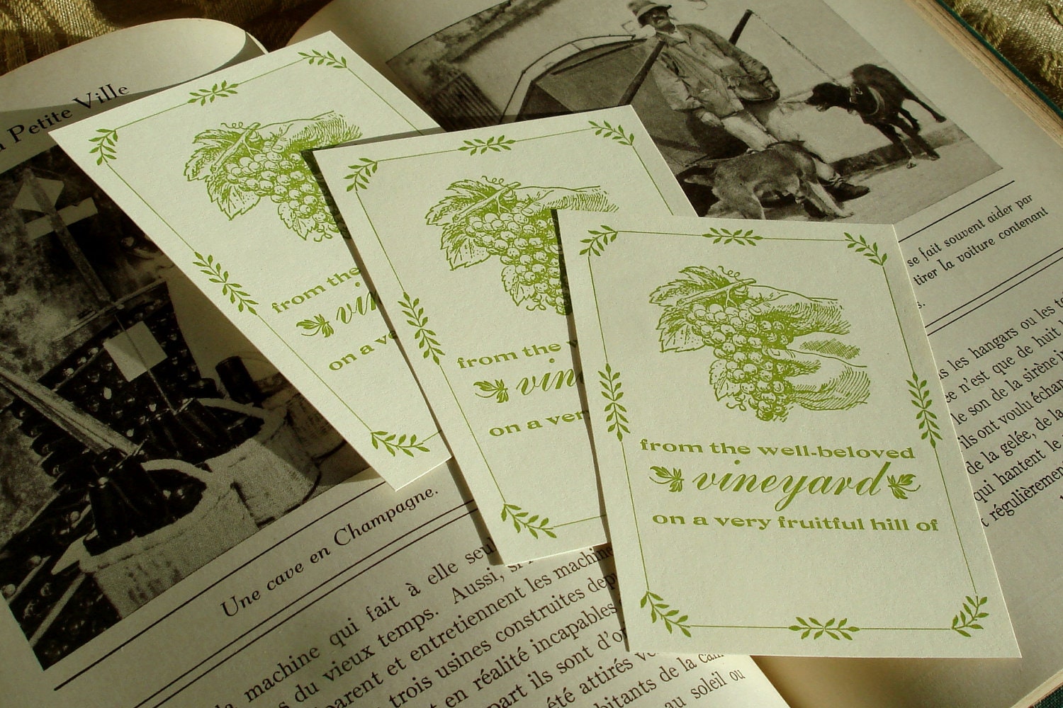 Letterpress Bookplates 10 PACK for the Wine Lover - Verse Inspired by Bible - Isaiah