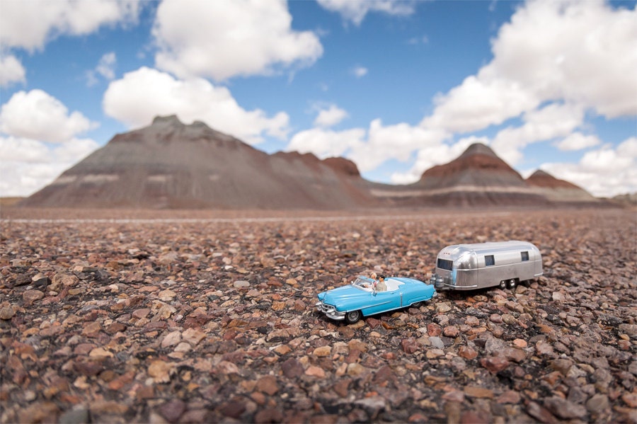 Petrified Forest AZ (8x12)