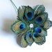 Peacock Feather Flower Morning Star ONE for making DIY Brides Bouquets and Wedding Bouquets