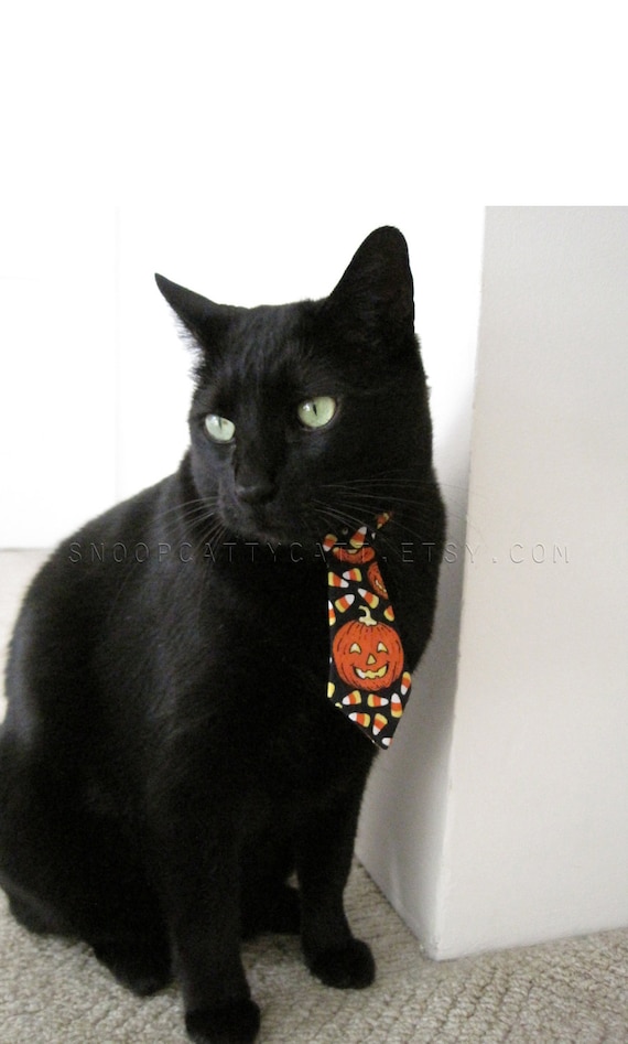 Halloween Cat Tie - I Want Candy - SnoopCattyCatt