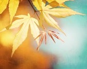 Autumn Photography - fall yellow leaves orange leaf wall art - aqua blue teal autumn print fall decor color fine art photo - 8x12 Photograph