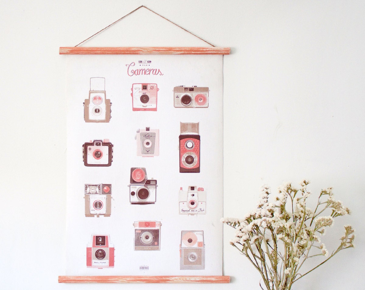 127&620 cameras canvas poster - vintage educational chart illustration CAP2002