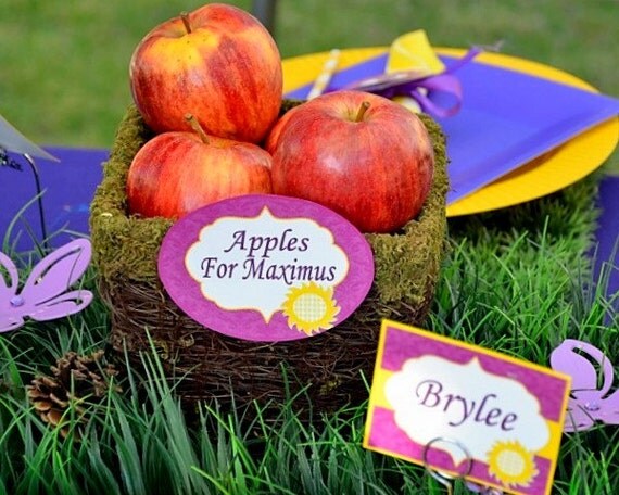 TANGLED Inspired Circle Food labels - RAPUNZEL- Candy Jar Labels - Girls Birthday Party - Tangle Princess - Krown Kreations Il_570xn