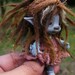 sweet 3.5 blue dreadlocked tiny fairy fairie bug posable ooak