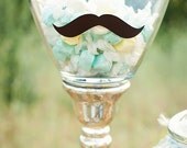 Mustache Party Vinyl Stickers - 5" - Variety Set of 4