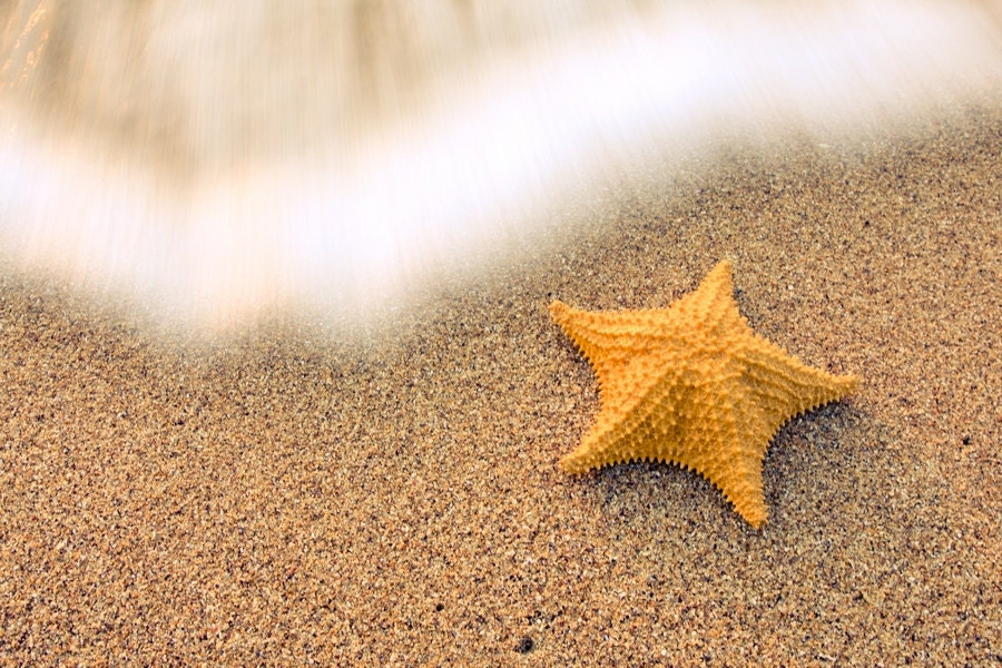 Sea Star Photography, Starfish Photography, Beach sand and waves, Beach Print 8x10 or 8x12, Mothers Day
