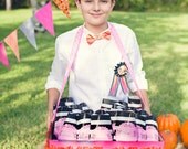 Boys Bow Tie- Orange and Pink Striped - Sizes newborn-adult
