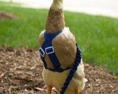 2 Strap Style Walking Harness for pet Ducks, Chickens, and Geese