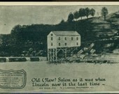 Illinois OLD (NEW) SALEM Antique Undivided Back Litho Postcard Pre-1907