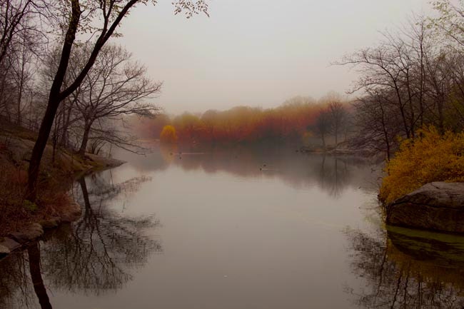 Nature photography, Fathers Day, fishing pond, gray, fog, brown, silver rustic, home decor, dad, men, 12x8