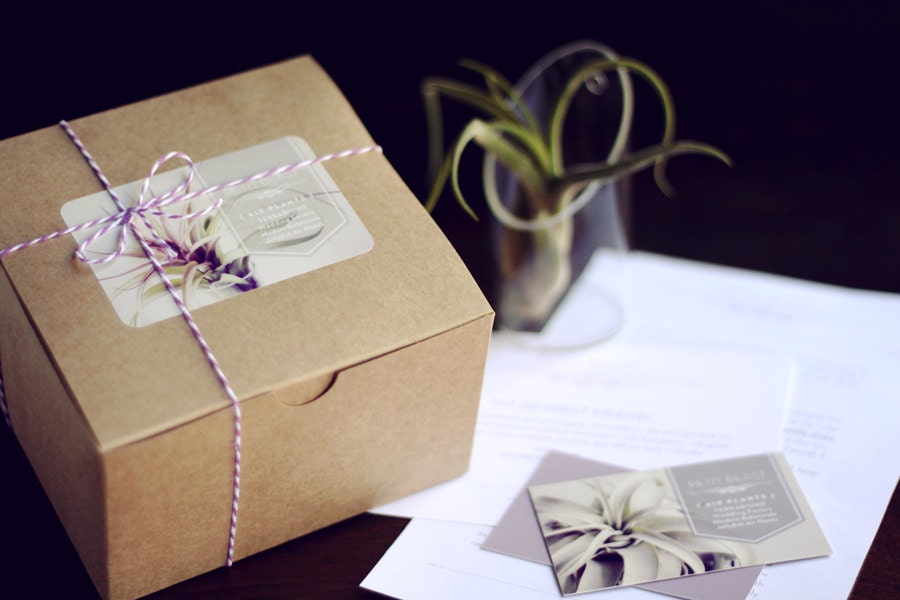 Plant-O-Gram and Vessel // Surprise Air Plants Sent to Anyone plant delivery