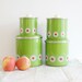Mod Green Enamel Kitchen Containers with Red and White Flowers - Set of Four