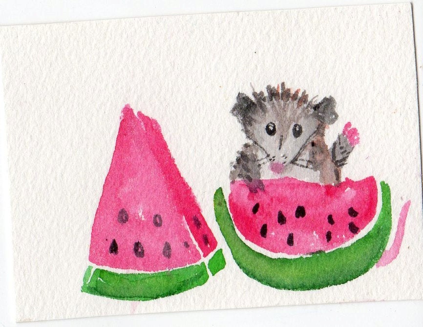 ACEO Original Possum with watermelons Watercolor Painting. Oppossum Art Card