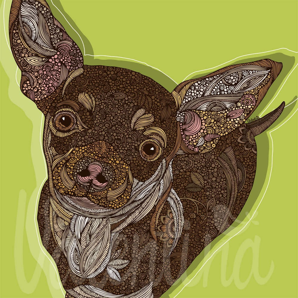 Honcho the chihuahua