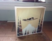 Custom Order For Autumn-Airplanes Over Mt. Hood