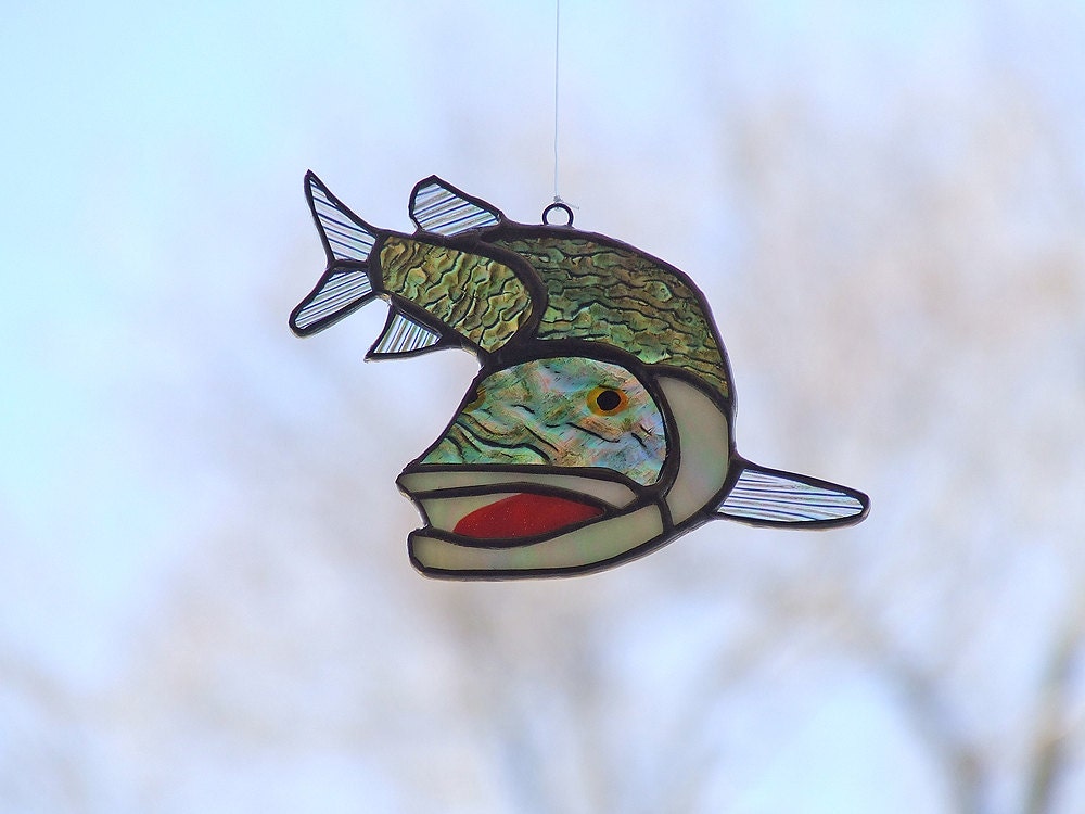 Iridescent Northern Pike