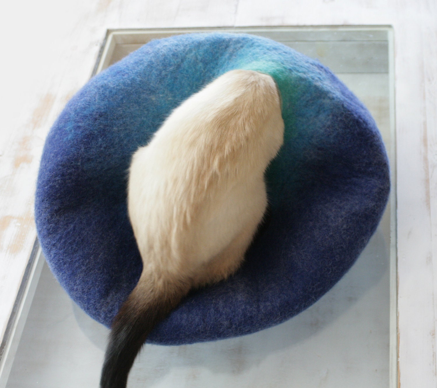 Cat Nap Cocoon / Cave / Bed / House / Vessel - Hand Felted Wool - Crisp Contemporary Design - READY TO SHIP Teal to Blue Bubble