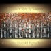 ORIGINAL Large Abstract Copper Birch Trees Impasto Landscape Heavy Textured Modern Palette Knife Painting by Susanna Ready to Hang 48x24
